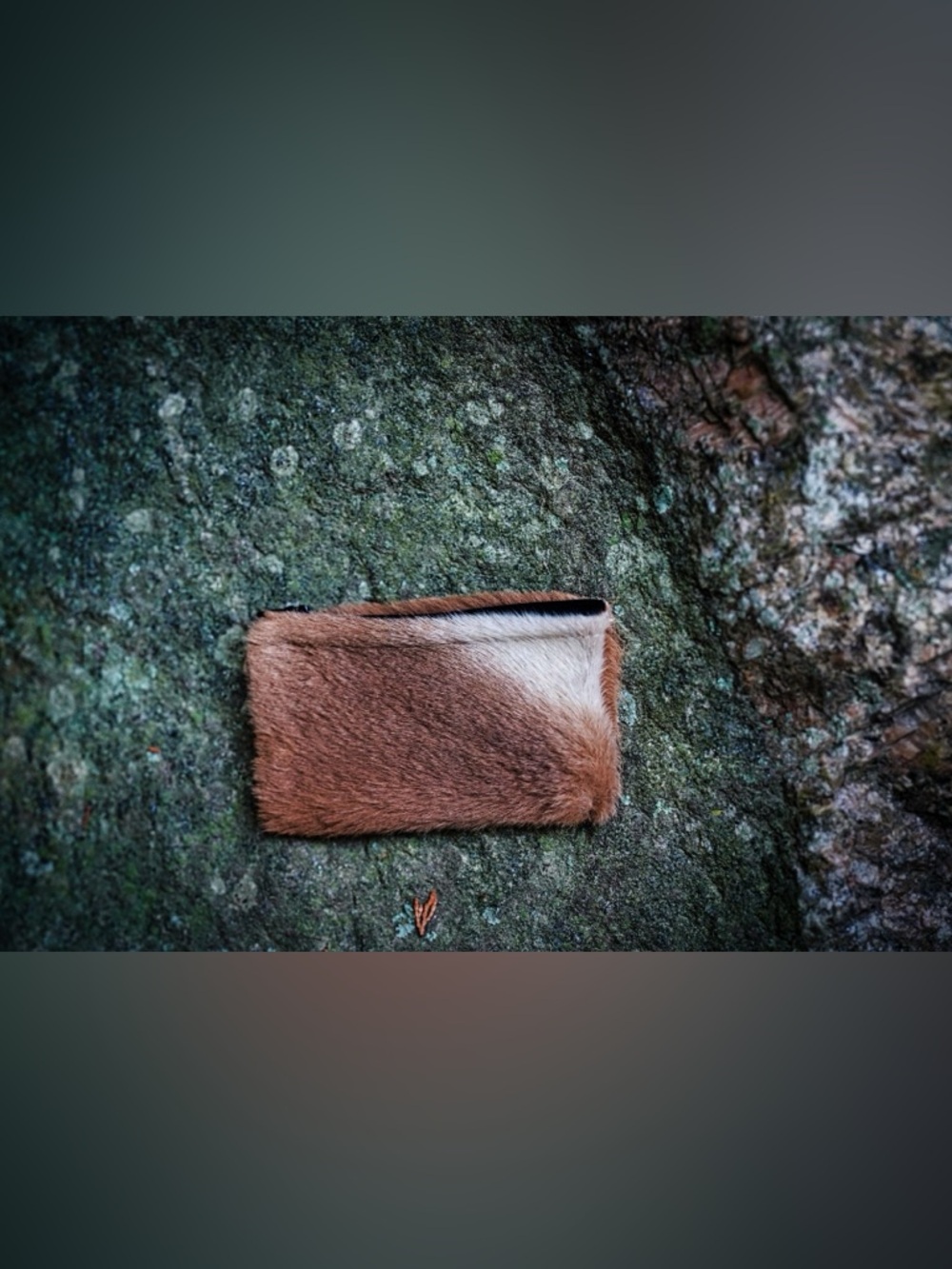 Mike & Pauline Kuranda Tiny Fur Zip Wallet Pouch